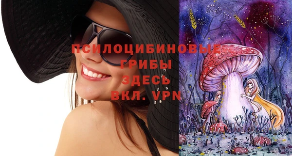 МДПВ Абинск